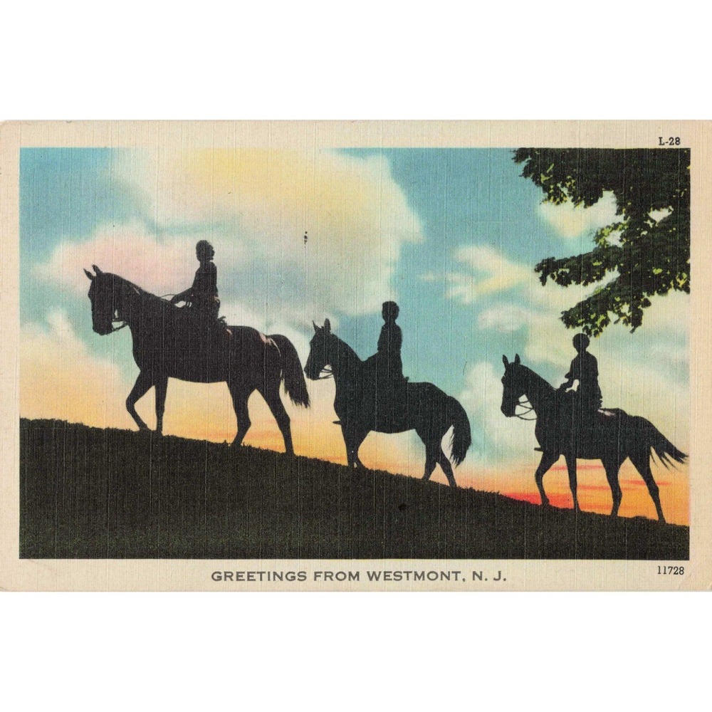 Vintage Westmont NJ Linen Postcard Horseback Riding Silhouette 1949 Postmark
